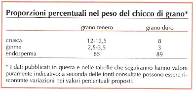 Componenti del chicco di grano