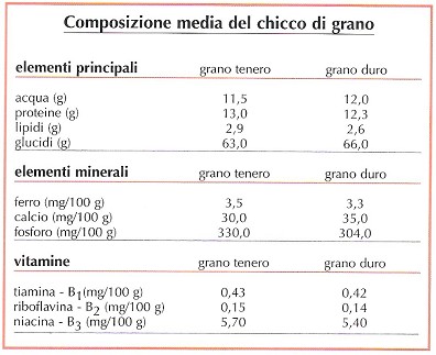 Composizione media del chicco di grano