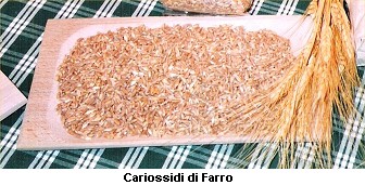 Farro