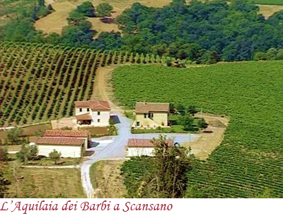 L'Aquilaia dei Barbi Scansano