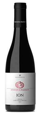 Irpinia Campi Taurasini ION