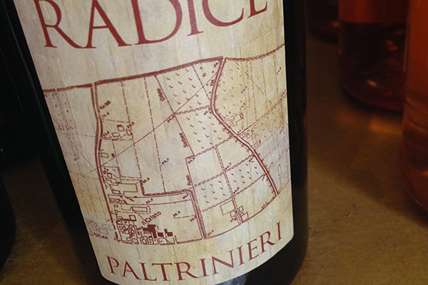 Lambrusco di Sorbara Radice 2015 Paltrinieri