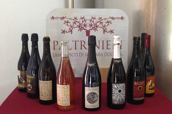 I vini di Paltrinieri