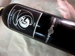 Frascati Superiore Luna-Maeter 2009