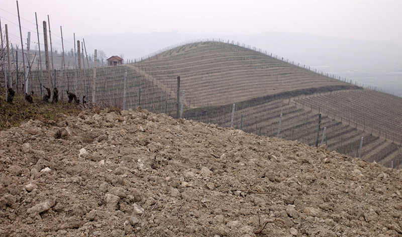 Vigneti Produttori del Barbaresco