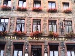 Goldenen Traube