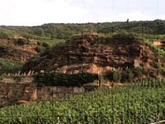 Urtziger Wurtzgarten