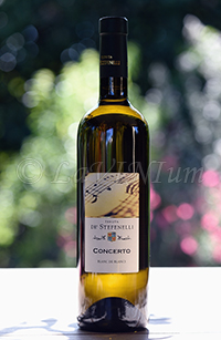 Concerto Blanc de Blancs 2015