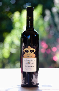 Romagna Sangiovese Superiore Armonia 2012