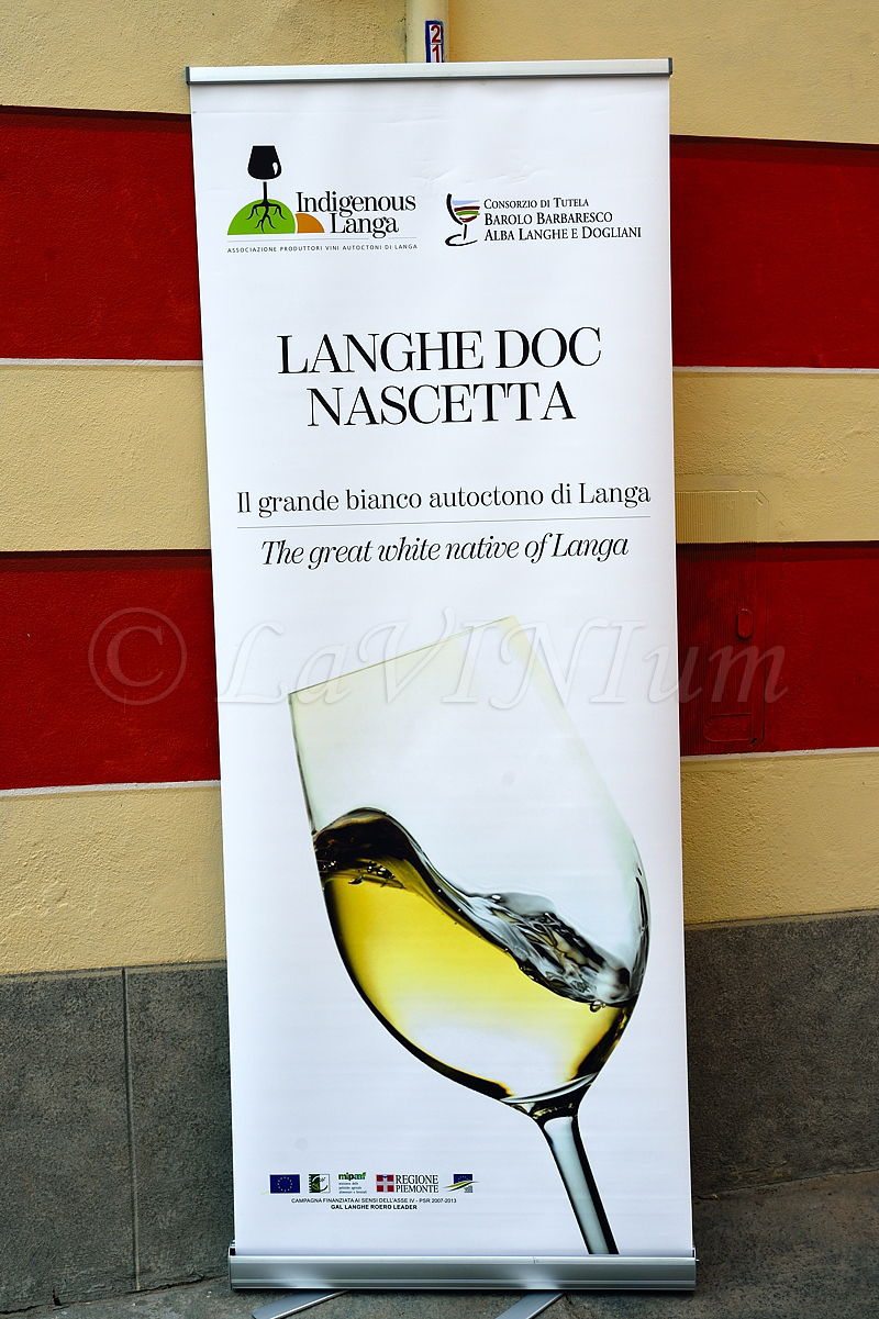 Locandina Langhe Doc Nascetta