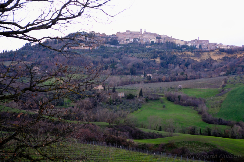 Montepulciano