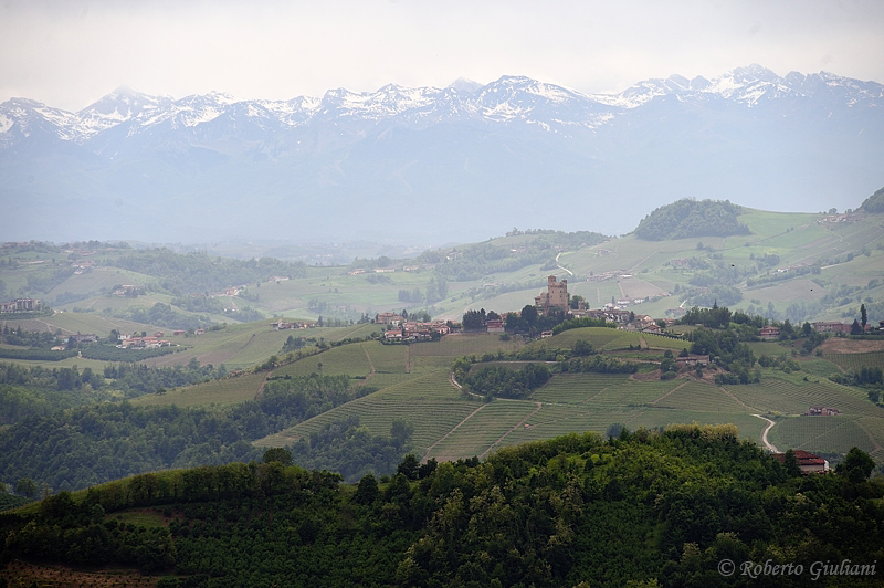 Paesaggio nelle Langhe