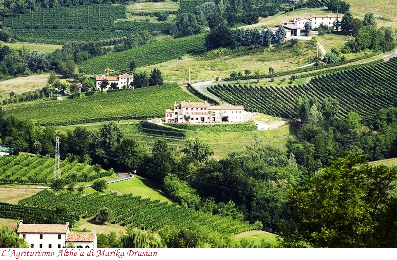 Agriturismo Althe’a di Drusian Marika