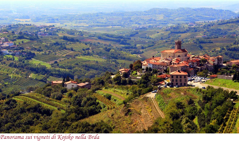 Panorama sui vigneti di Kojsko nella Brda
