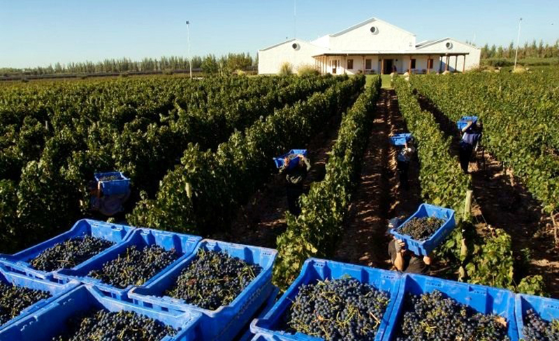 Bodega Enrique Foster