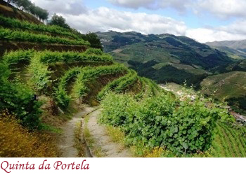 Quinta da Portela