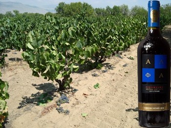 Xinomavro Reserve vieilles vignes 2009 Alpha Estate