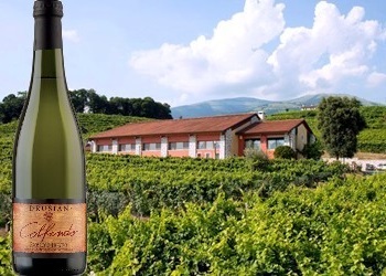 Treviso Prosecco Colfondo