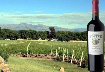 Malbec Edicion Limitada 2004