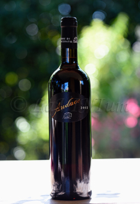 Romagna Sangiovese Audace Riserva 2012