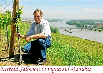 Bertold Salomon in vigna sul Danubio