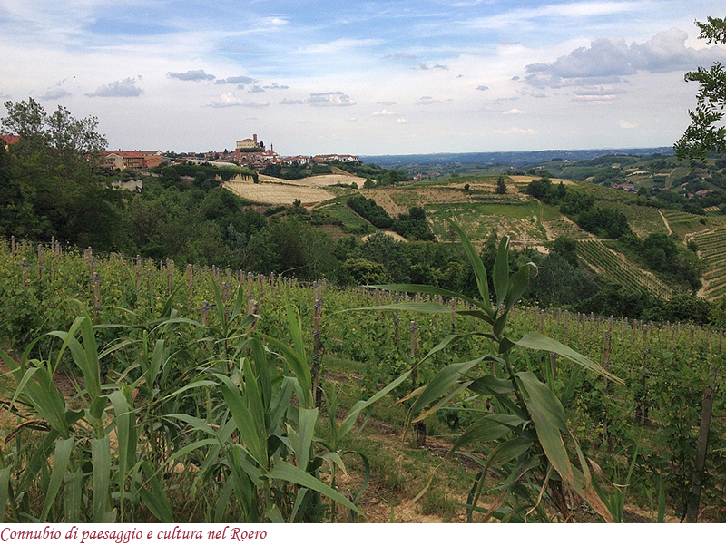 Paesaggio e cultura nel Roero
