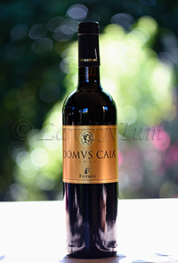 Romagna Sangiovese Superiore Riserva Domus Caia 2013