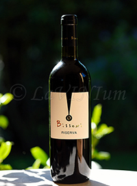 Romagna Sangiovese Bertinoro Riserva 2012