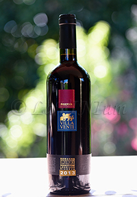Romagna Sangiovese Longiano Riserva 2013