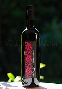 Romagna Sangiovese Modigliana Riserva I Probi di Papiano 2012