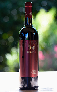 Romagna Sangiovese Superiore Riserva Michelangiòlo 2013