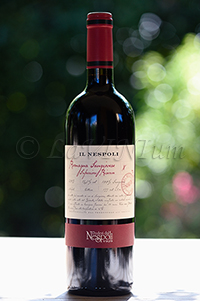 Romagna Sangiovese Superiore Il Nespoli Riserva 2013