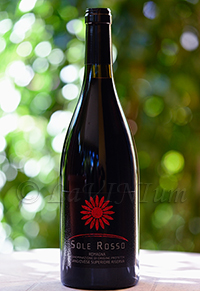 Romagna Sangiovese Superiore Riserva Sole Rosso 2013