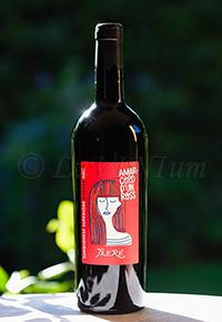 Romagna Sangiovese Superiore Riserva Amarcord d'un Ross 2013