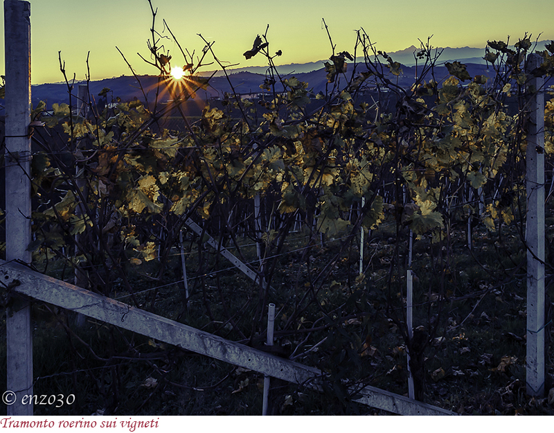 Tramonto sulle vigne del Roero