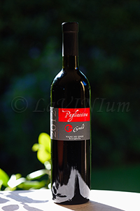 Romagna Sangiovese Superiore Vigne dei Gessi Riserva Pagliaccina 2012