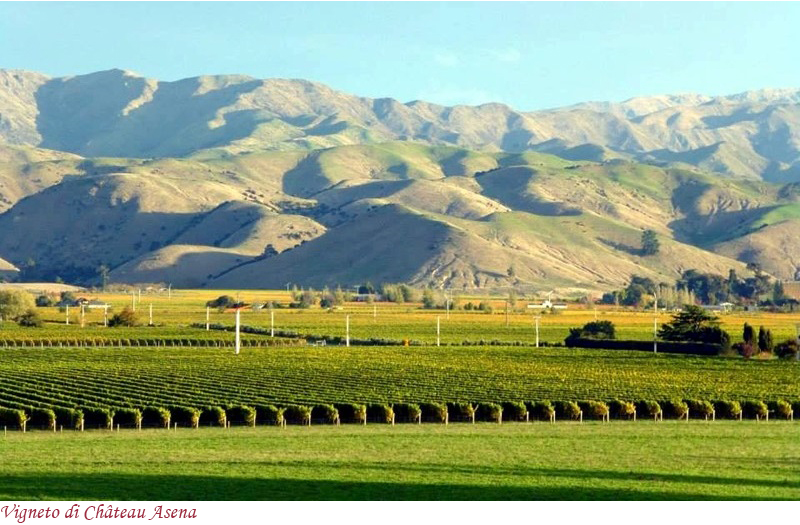 Vigneti di Chateau Asena