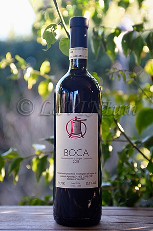 Boca 2008 - Davide Carlone