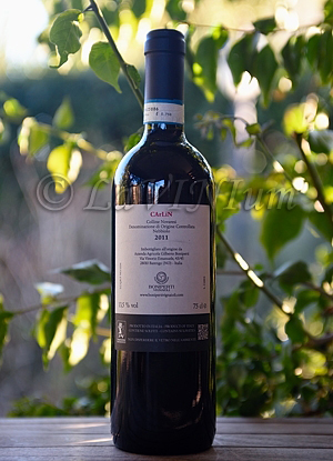 Colline Novaresi Nebbiolo Carlin 2011