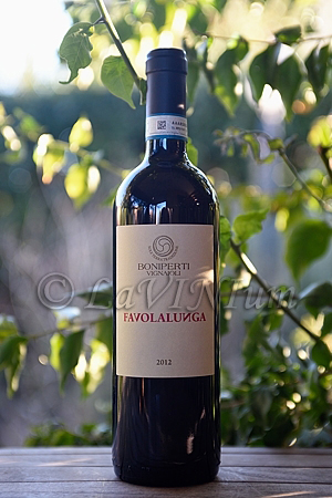 Favolalunga Boniperti