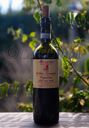 Vespolina Il Recetto 2014 Mazzoni