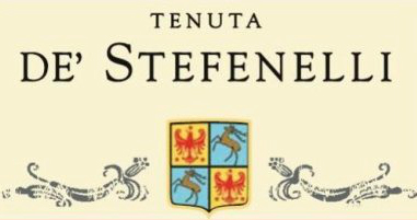 Logo De' Stefenelli