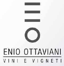 Logo Enio Ottaviani
