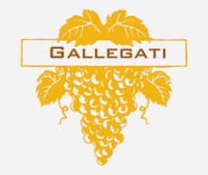 Logo Gallegati
