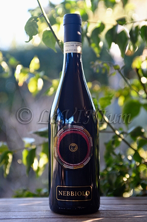 Nebbiolo 2008 Il Chiosso