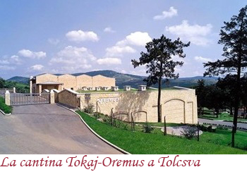 la cantina Tokaj-Oremus a Tolcsva