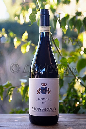 Sizzano Monsecco 2009 - Zanetta Sergio e Valter 