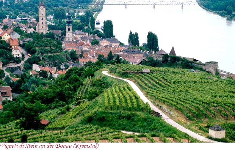 Vigneti di Stein an der Donau
