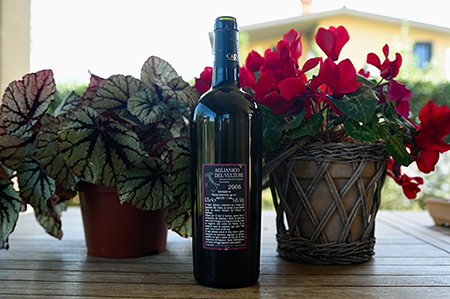 Aglianico del Vulture 400 Some 2006 Carbone