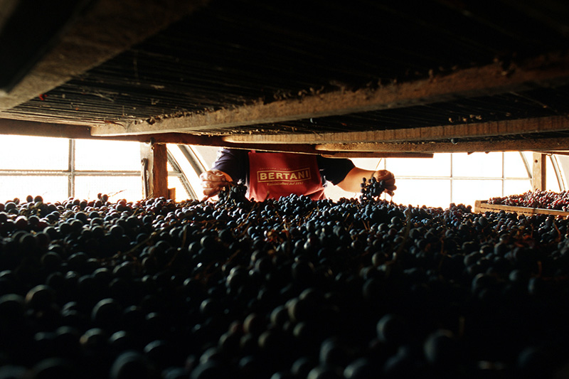 L'appassimento sulle arele